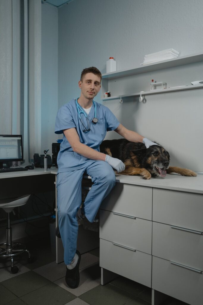 Man in blue scrubs sitting on counter and petting dog