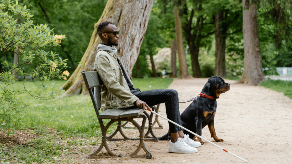 ADA Illinois Service Animal Access Laws